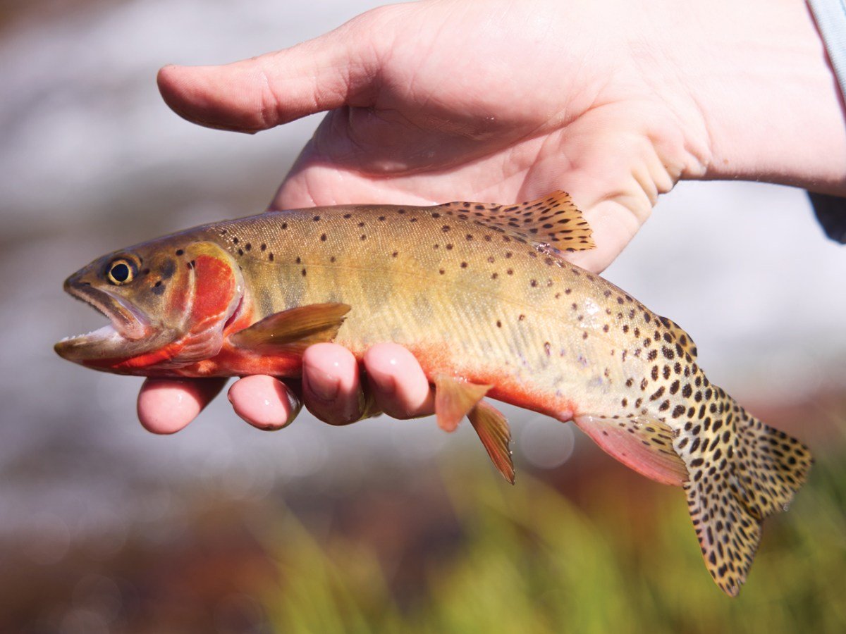 Staying at This Luxury Wilderness Preserve Is Like Having Your Own Private National Park