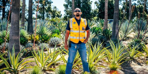 He’s Turning Dodger Stadium into a World-Class Garden, One Native Plant at a Time
