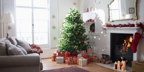 Christmas Trees Are More Expensive Than Ever This Year—Here’s How to Find the Right One for You