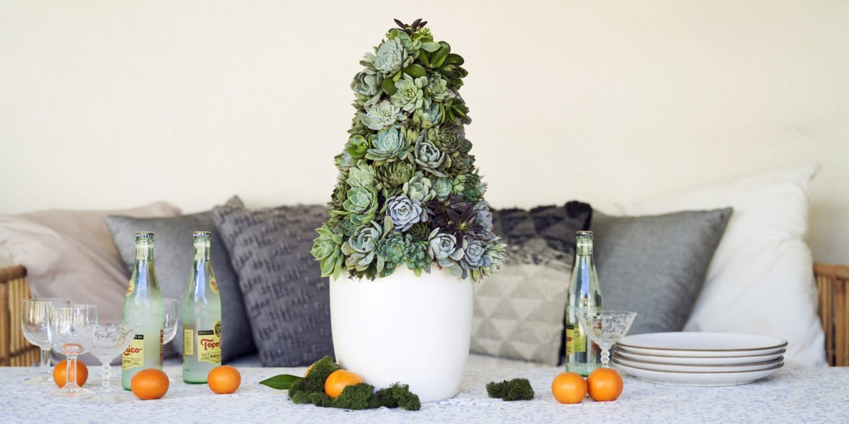 This DIY Succulent Christmas Tree Will Have Your Friends Gasping, OMG Is That Real?