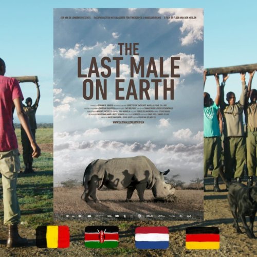 Film: The Last Male on Earth, dir. Floor van der Meulen, 2019