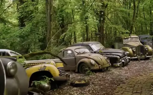 Million dollar car graveyard in Germany full of rare motors