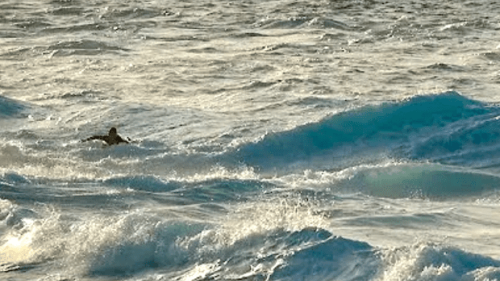Freak Rip Currents Trap Pro Surfers in Hawaii (Video)