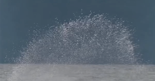 Wave of The Day Pavones: 54 Seconds of Backside Perfection