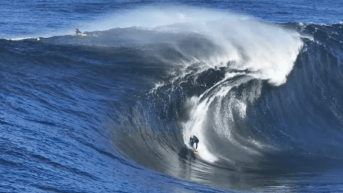 Surfer Videos - cover