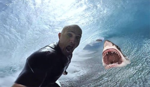 Ocean's deadliest predator revealed! Pros confronted with billboard selves!