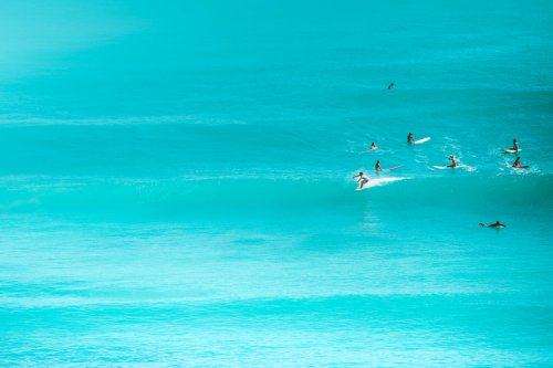 How do top surfing destinations rank in biodiversity?