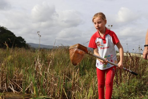 Sussex Rainbows and Brownies learn about nature at Pulborough Brooks