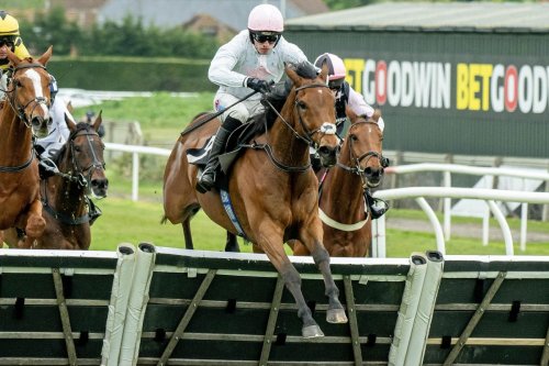 It’s Mullins magic and Skelton steel at Plumpton