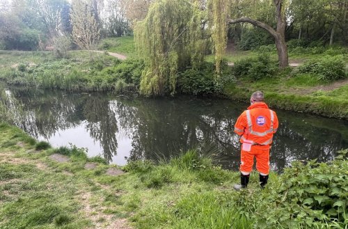 Dozens of fish found dead in Worthing's Brooklands Park: Everything we ...