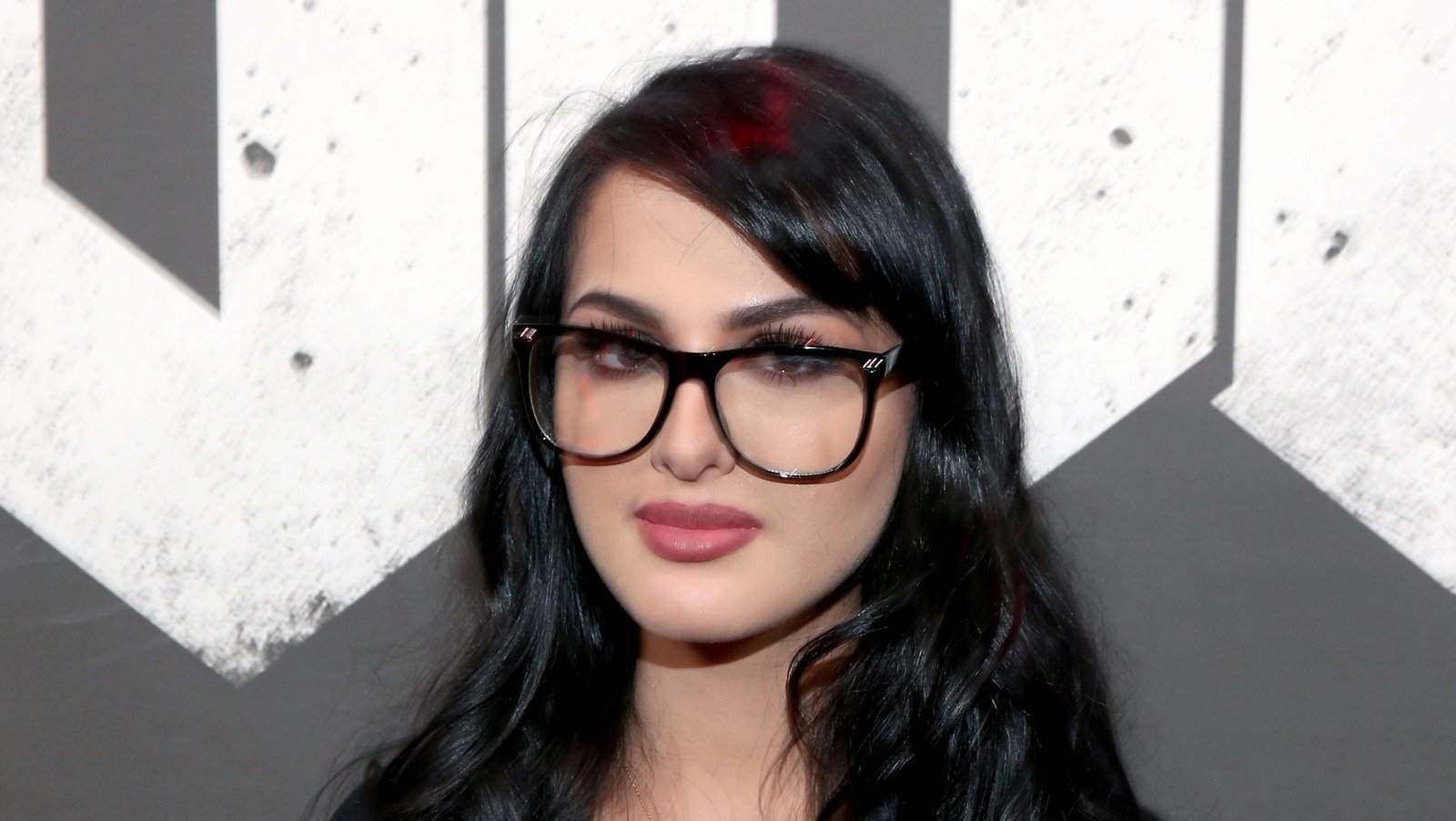 The Untold Truth Of SSSniperWolf