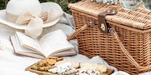 Swansea named one of the best UK cities for a picnic this summer - Swansea Bay News
