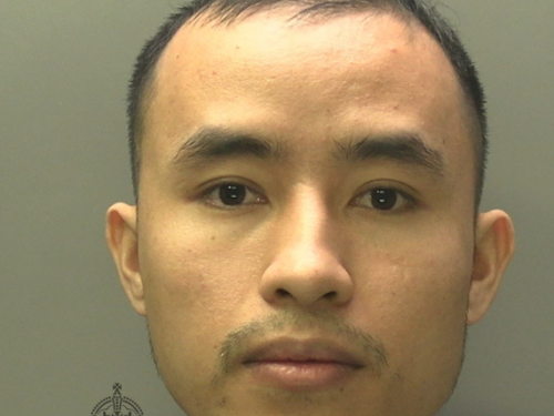 Man jailed after cannabis plants starting growing through wall of house into next door - Swansea Bay News