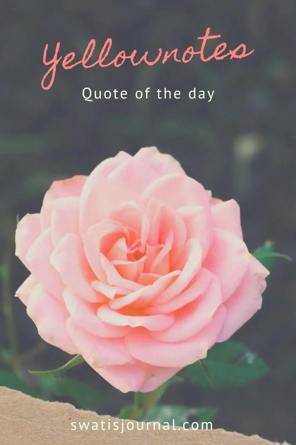 FEBRUARY 2020 - DAILY QUOTES - YELLOWNOTES cover image