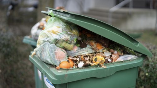 End 'beauty cult' to cut food waste, says WWF