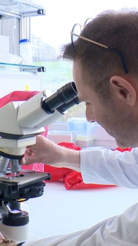 Pioneering research using dioxin-eating bacteria could help clean up Swiss city
