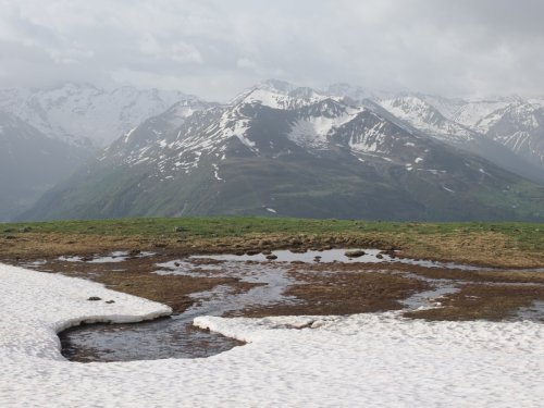 Study: spring in Swiss Alps starts earlier and earlier