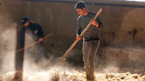 Une agriculture à la suisse dans le Caucase