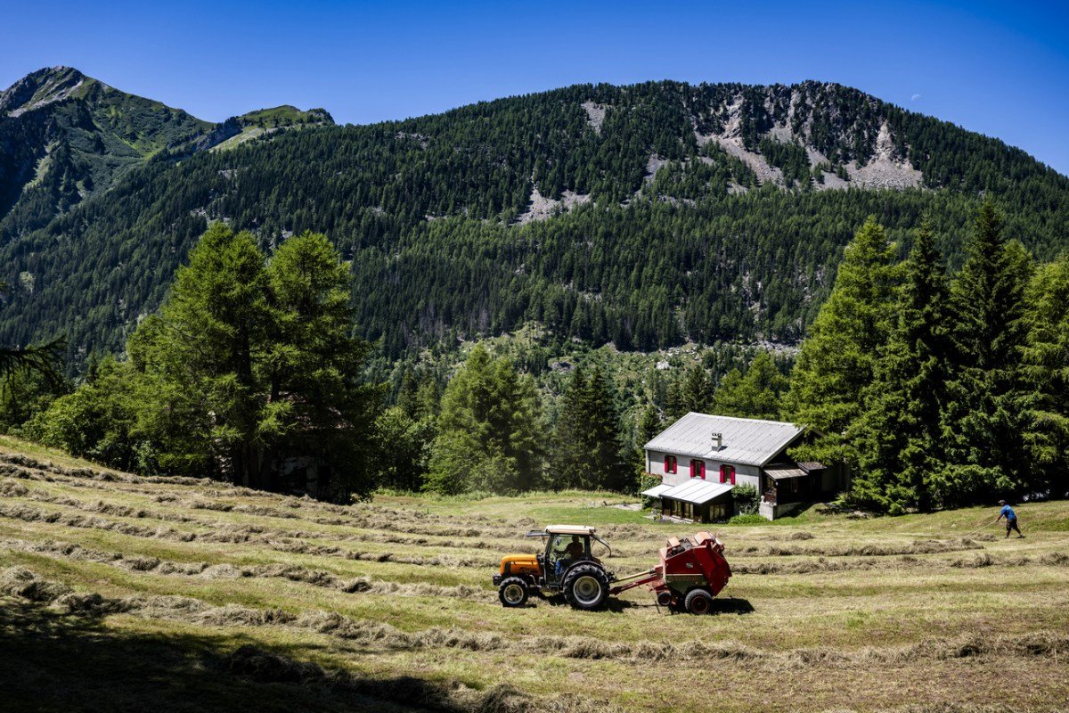 Petites ou grandes, les exploitations agricoles sont confrontées à une pénurie de main-d’œuvre