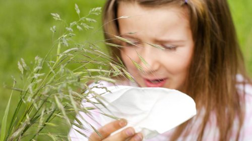 Wer hat die Pollenallergie entdeckt?