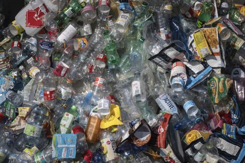 Bakterien als Plastik-Fresser: Kein Allheilmittel für das Abfallproblem