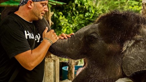 Wieso ein Schweizer in Thailand einen Schutzpark für Elefanten errichtet