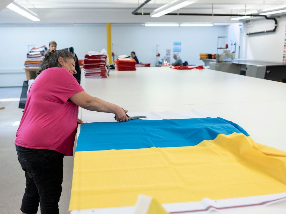 Switzerland reports slow progress in integrating Ukrainian women in workforce