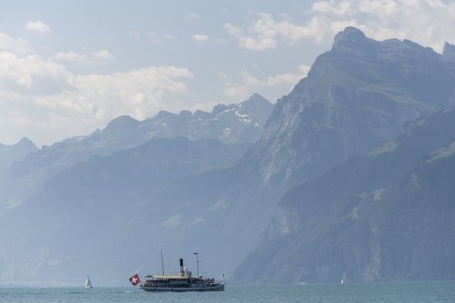 Lucerne tightens shipping measures against quagga mussels - SWI swissinfo.ch