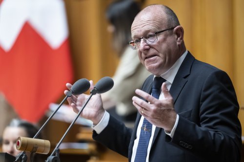 "Schweizer:innen im Ausland haben es verdient, dass sie im Parlament vertreten sind" - SWI swissinfo.ch