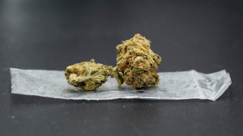 Ein Jahr nach der Cannabis-Legalisierung: Gesetz hat laut BW-Polizei "Ziel verfehlt"