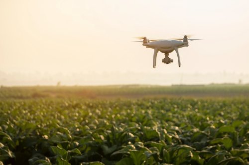 Automated drones could be the flying scarecrows of the future