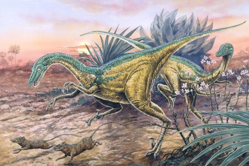 Mammals were planning to overthrow the dinosaurs well before the Asteroid impact