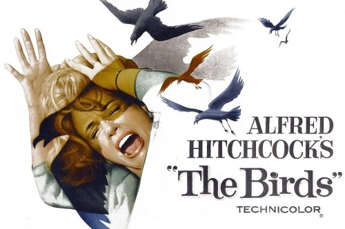 Revisiting a Classic: Ways to Supplement Alfred Hitchcock's The Birds on Its 60th Anniversary