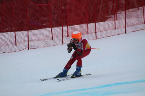 Section III skiier finishes in top 10 at states