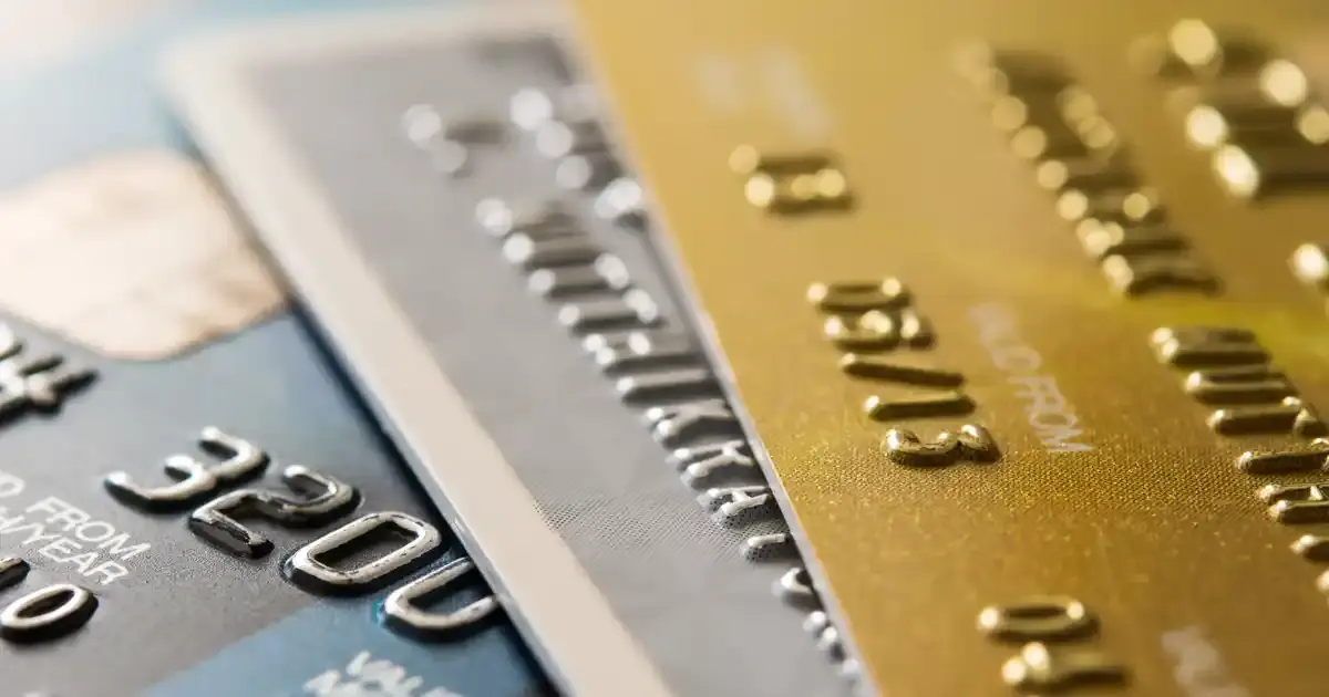 The 5 Best No-Fee Credit Cards | WalletGenius