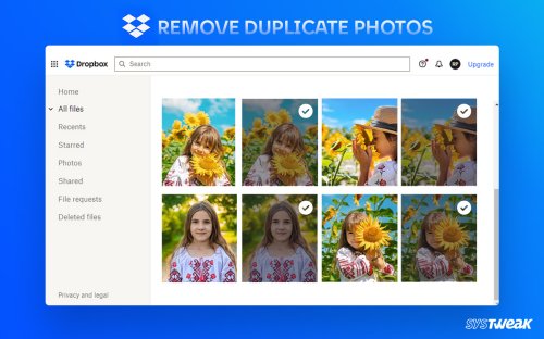 How to Remove Duplicate Photos from Dropbox?