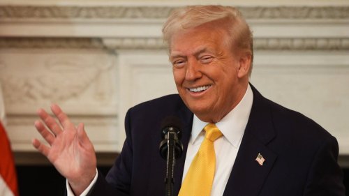 Trump kann Shutdown abwenden: Demokraten stimmen für Entwurf