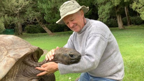 190 Jahre alt: Älteste Schildkröte der Welt feiert Geburtstag