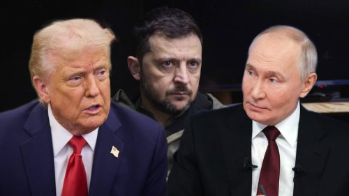 Ukraine-Verhandlungen mit Trump? Plötzlich überschlagen sich die Ereignisse
