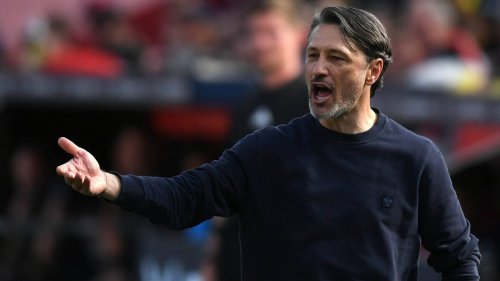 Bundesliga | 34. Spieltag: So sehen Sie die Konferenz live