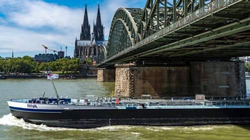 DLRG warnt Kölner davor im Rhein zu schwimmen: "Kann lebensgefährlich sein"