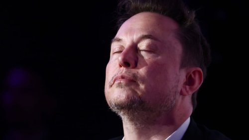 Elon Musk: Tesla-Gewinn bricht um 71 Prozent ein