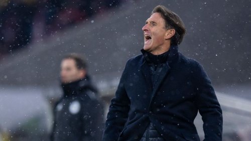 Nach Leipzig-Pleite: Stuttgart-Coach Bruno Labbadia wütet gegen Schiedsrichter-Entscheidung