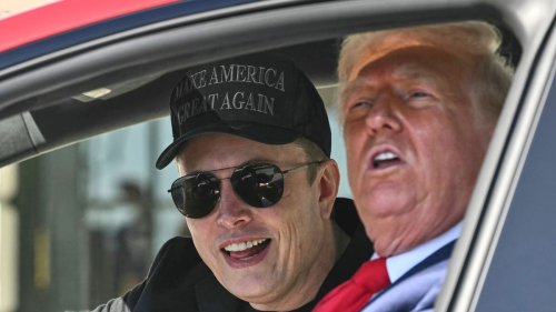 China-Geschäft: Trump sieht Interessenkonflikt bei Musk