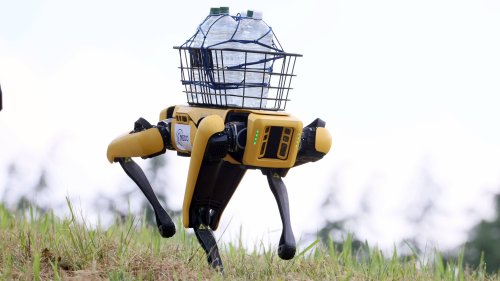 Hyundai will seinen Roboterhund noch intelligenter machen