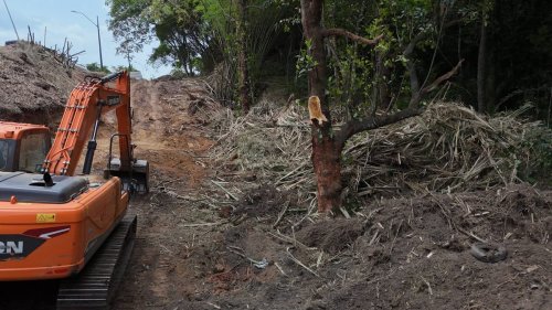 Brasilien baut für Klimagipfel COP30 Autobahn durch Waldschutzgebiet