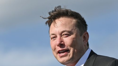 "Zulassung erhalten": Elon Musk darf Hirnimplantate an Menschen testen