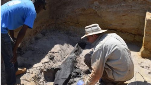 Unfassbar: Archäologen machen 476.000 Jahre alten Fund – Beweis für intelligente Urmenschen?