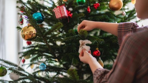 Weihnachtsbaum: So bleibt der Christbaum länger schön | Tipps