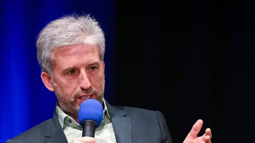 Palmer kritisiert Verfassungsschutzeinschätzung zur AfD